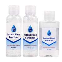 Factory Fda Approved CE Certificate Brand Logo Antibacterial Portable Natural Waterless Instant Alcohol Hand Sanitizer